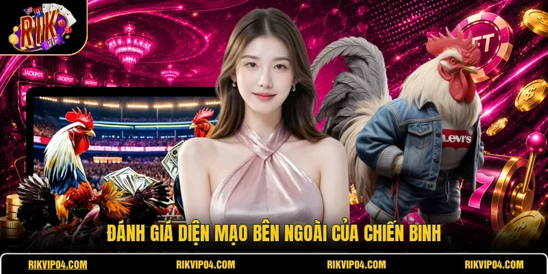 Đánh giá diện mạo bên ngoài của chiến binh