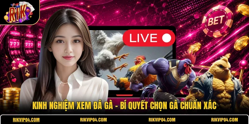 Kinh Nghiệm Xem Đá Gà - Bí Quyết Chọn Gà Chuẩn Xác