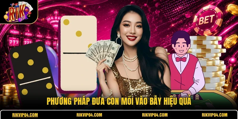 Phương pháp đưa con mồi vào bẫy hiệu quả