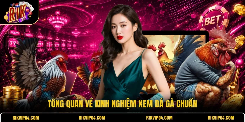 Tổng quan về kinh nghiệm xem đá gà chuẩn